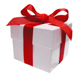 Our special gift to you - free financial planner